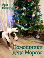 Обложка произведения Помощники деда Мороза