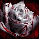 Обложка произведения По ту сторону любви.