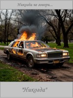 Обложка произведения Никогда не говори "Никогда"