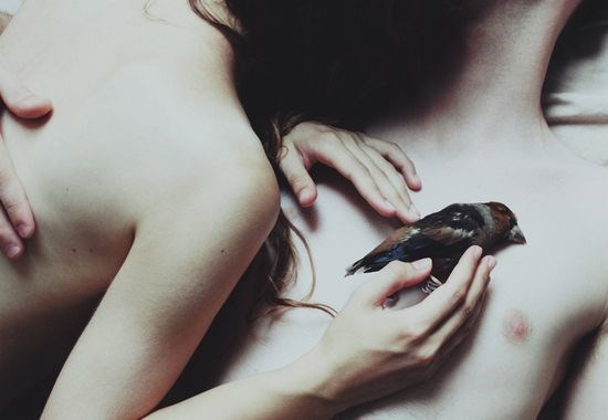 Обложка книги «Попутчик»