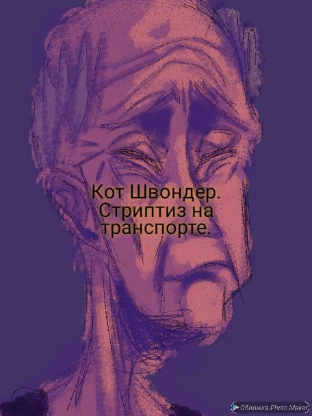 Обложка произведения Стриптиз на транспорте.