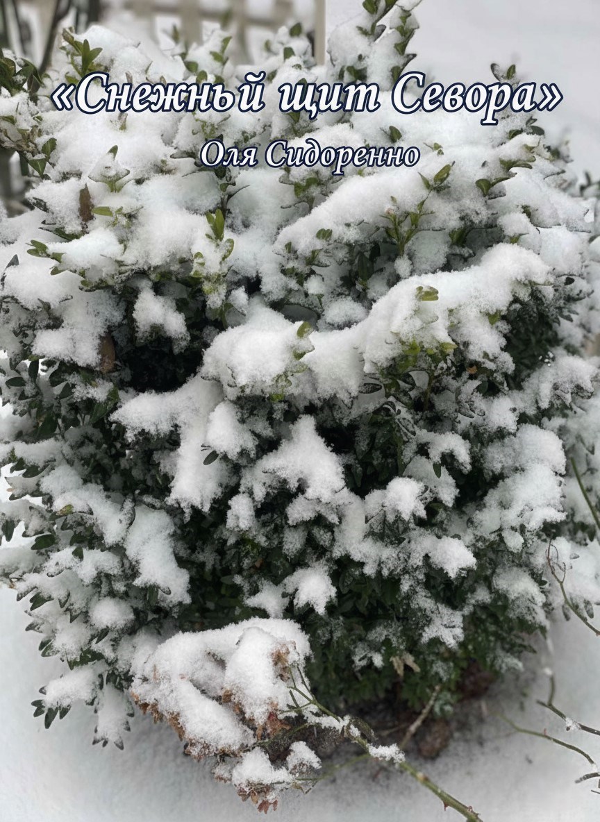 Обложка произведения Снежный щит Севера