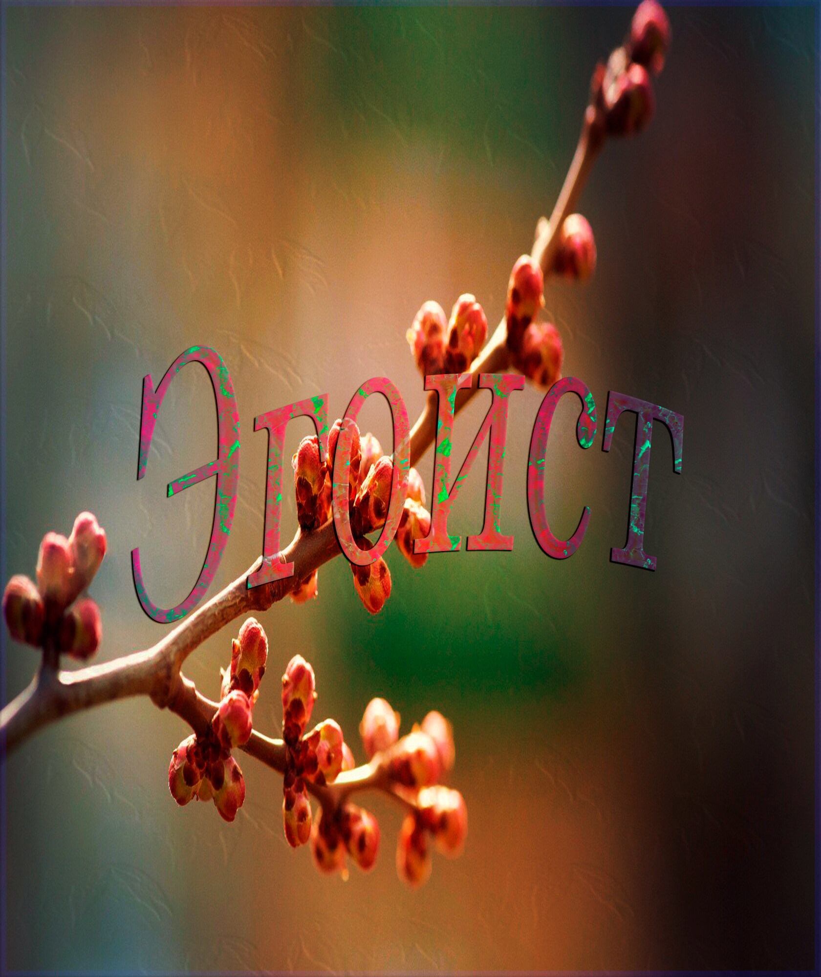 Обложка произведения эгоист