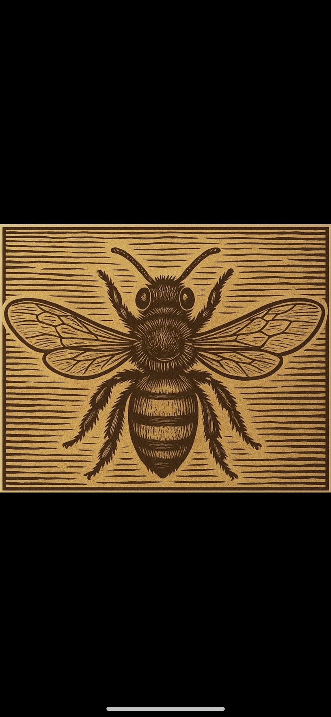 Обложка книги «Усталая философия»