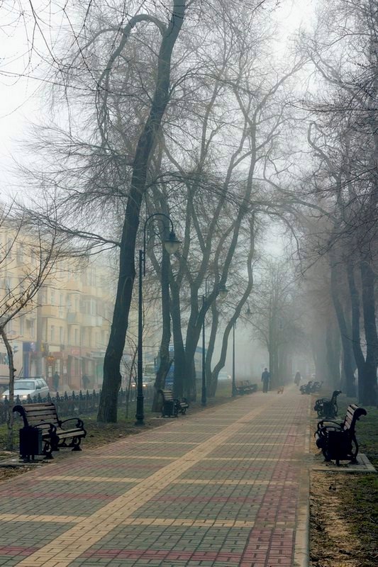 Обложка произведения Опустевший город