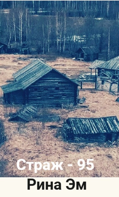 Обложка произведения Страж-95