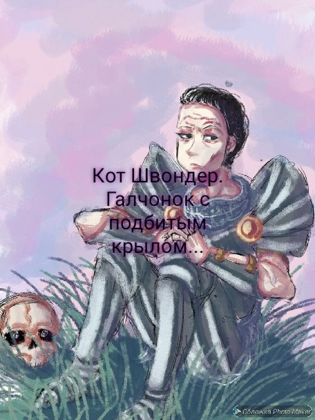 Обложка произведения Галчонок с подбитым крылом...