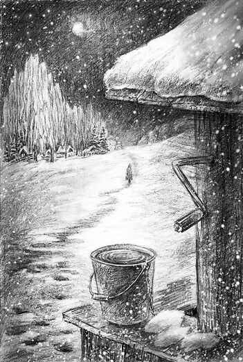 Обложка книги «Отражение»