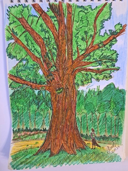 Иллюстрация