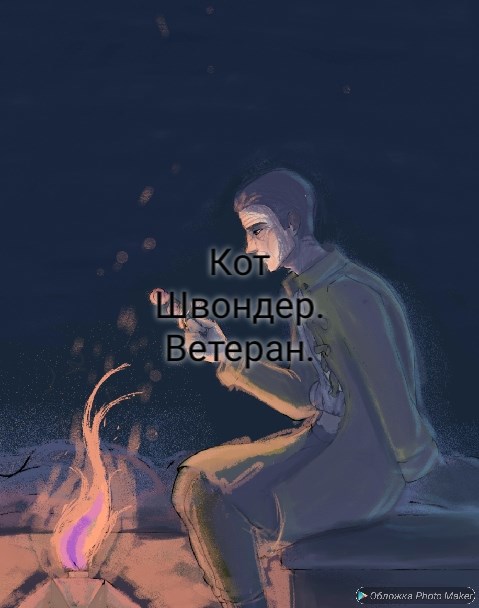 Обложка произведения Ветеран. Крепче бы не было в мире гвоздей...