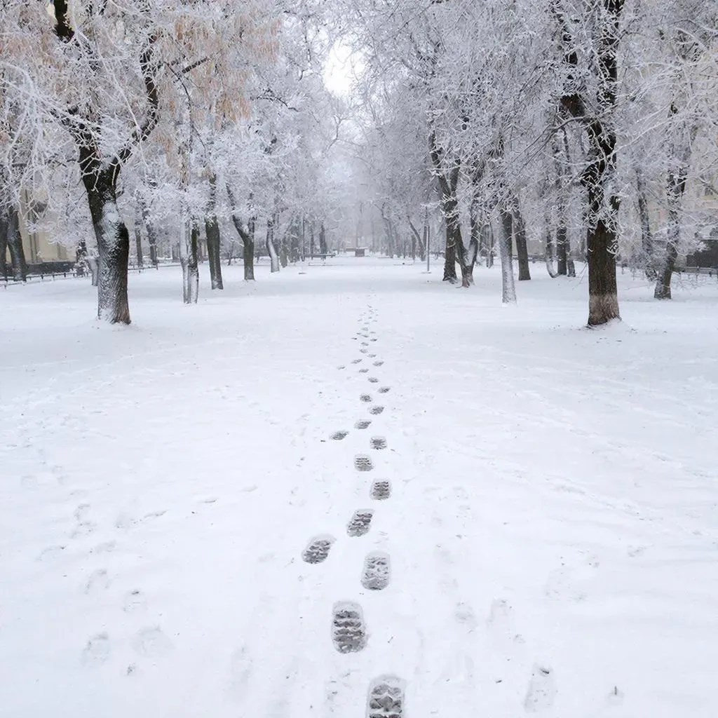 Обложка произведения Грабли зимы