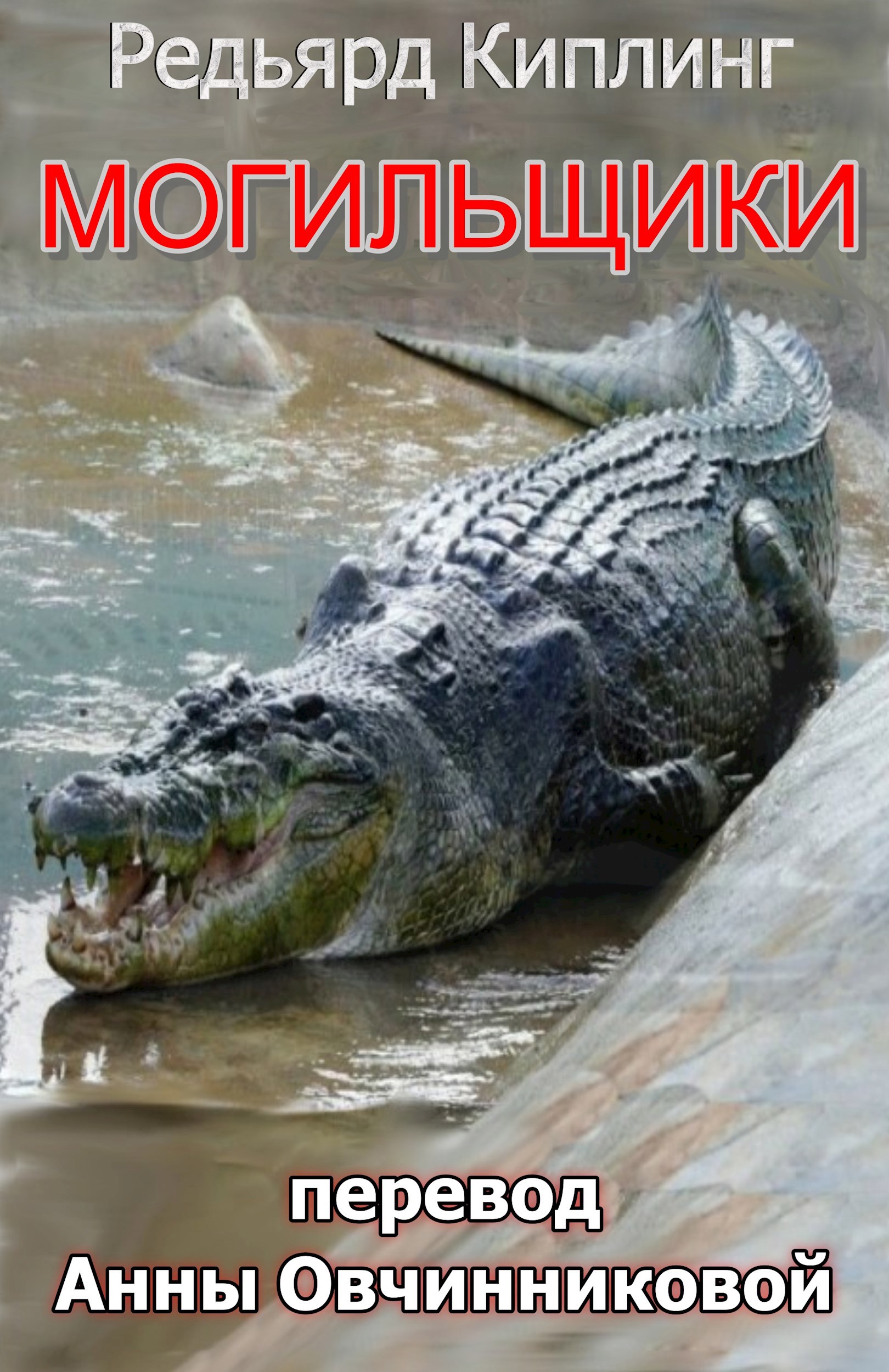 Обложка произведения Могильщики