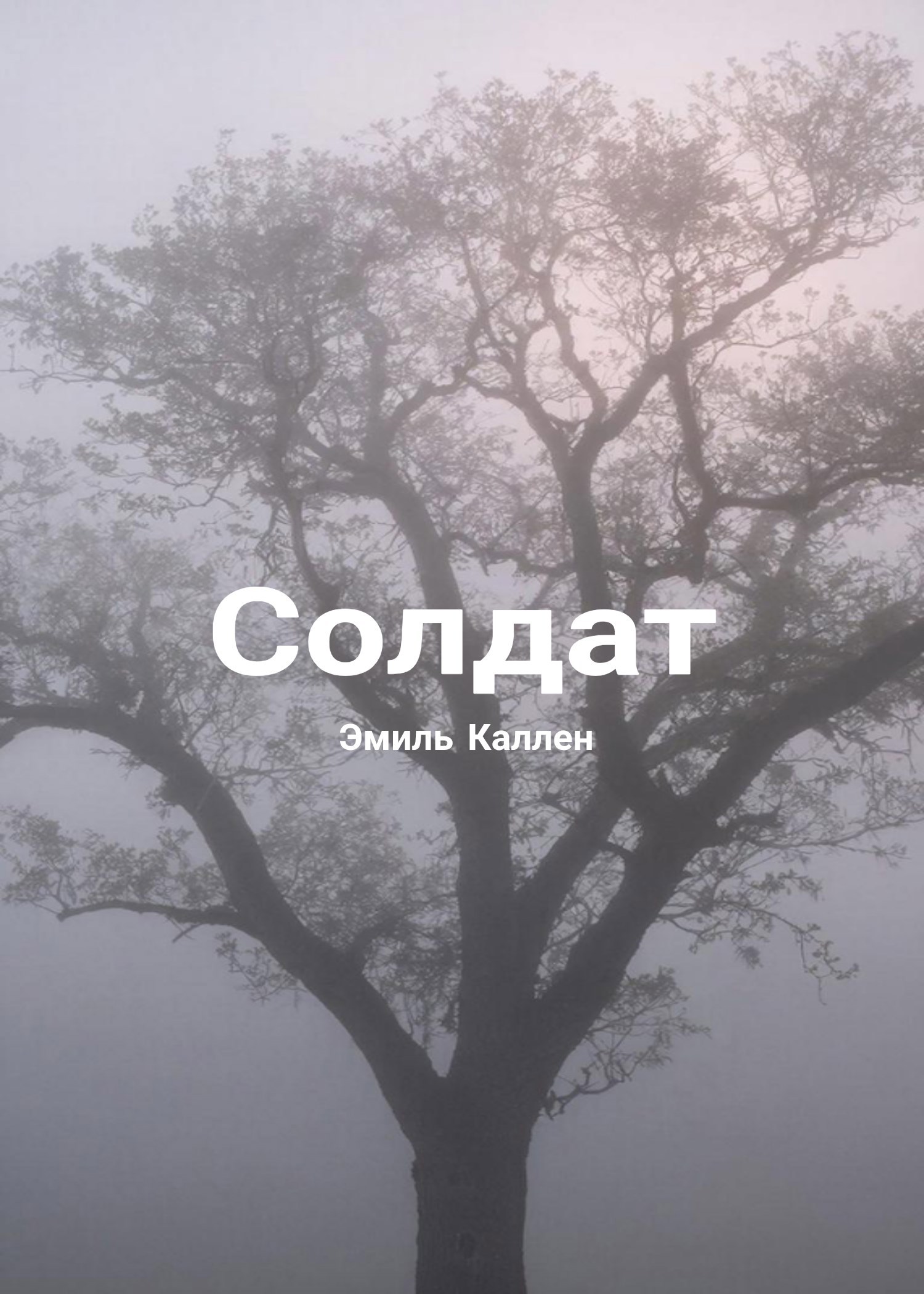 Обложка произведения Солдат