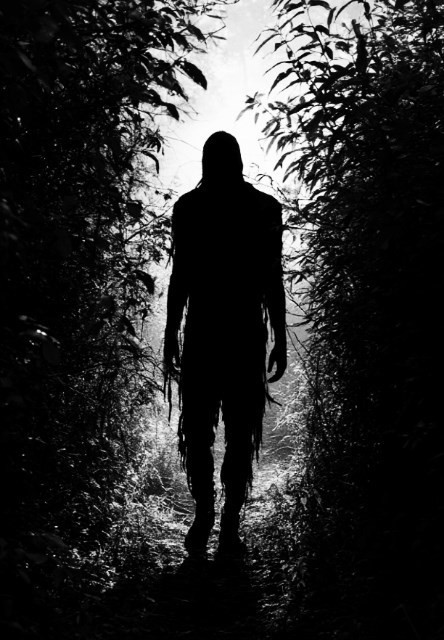 Обложка произведения Лиминальные измерения