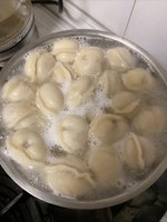 Обложка произведения План захвата мира на пальцах