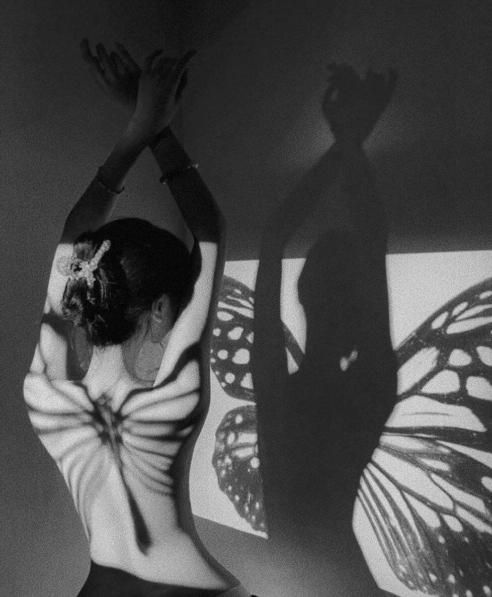 Обложка книги «Papilio machaon»