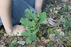 Ориби Каммпирр - Их...