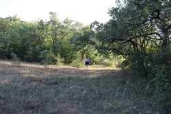 Ориби Каммпирр - Их...