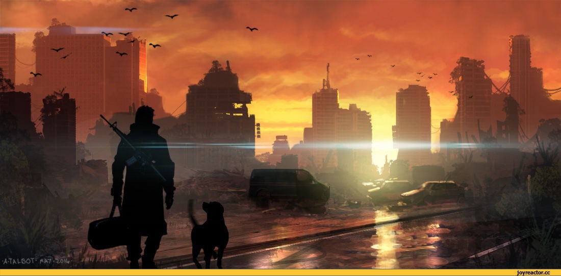 Обложка произведения Книга 2. «Эхо рассвета»