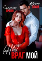 Обложка произведения (Не)Враг мой