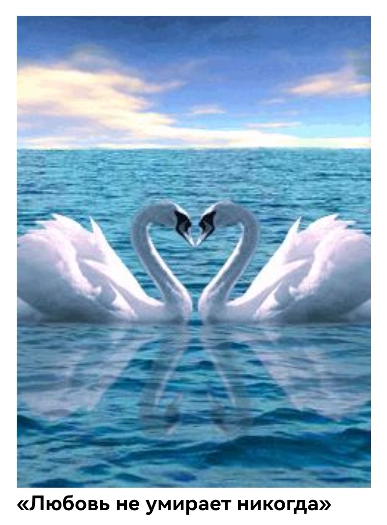 Обложка произведения Любовь не умирает никогда.
