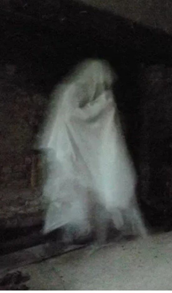 Обложка произведения Приведение