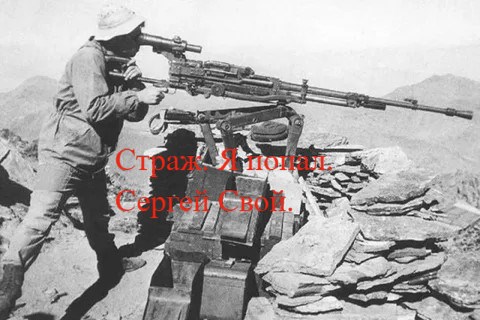 Обложка произведения Страж. Я попал.