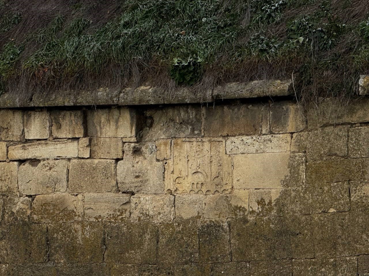 Обложка произведения Красота