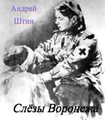 Обложка произведения Слёзы Воронежа