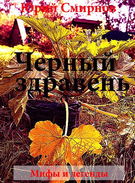 Обложка произведения Черный ЗДРАВЕНЬ