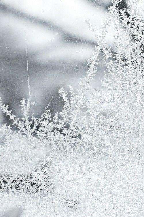 Обложка произведения Принцессы и башни