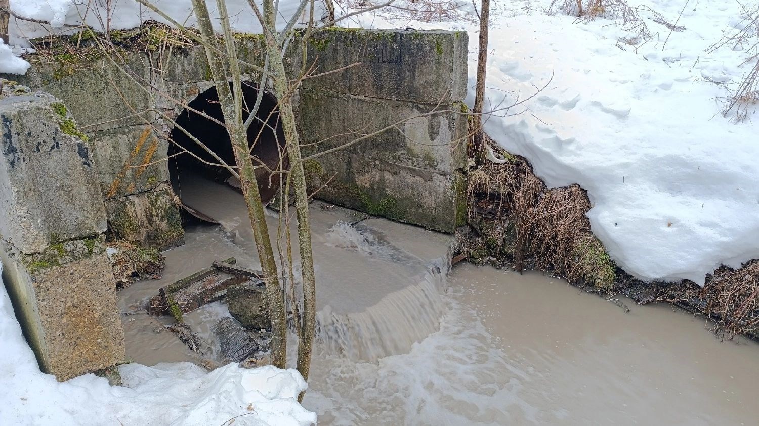 Обложка книги «Пермский Стикс: мистическая тайна реки в черте города П.»