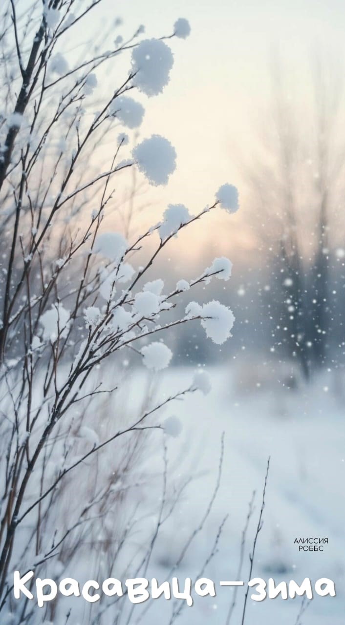 Обложка произведения Красавица-зима