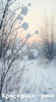 Обложка произведения Красавица-зима