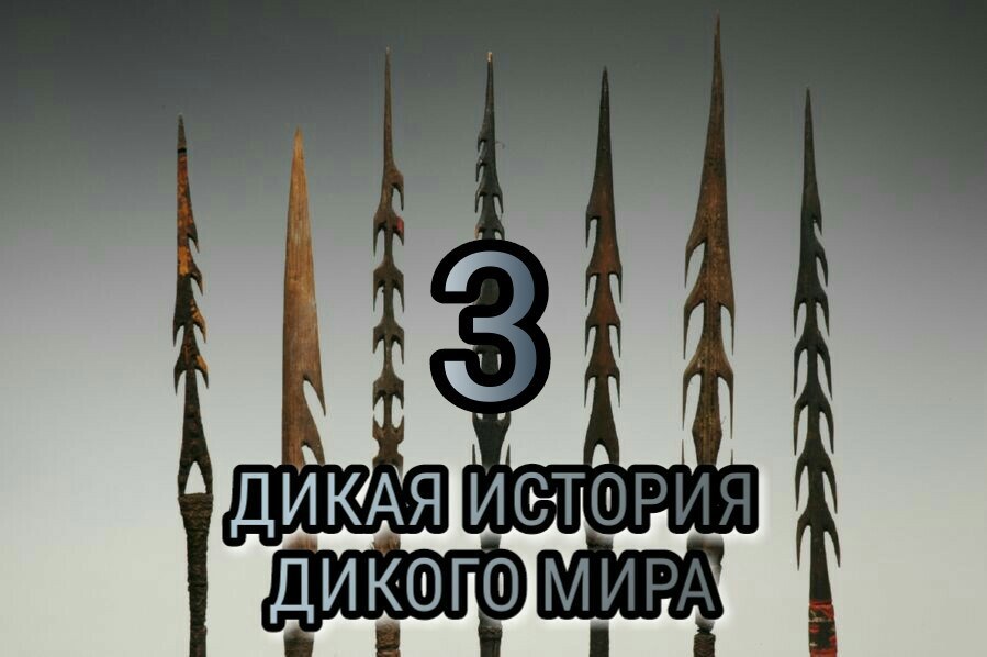 Обложка произведения Дикая история дикого мира-3.