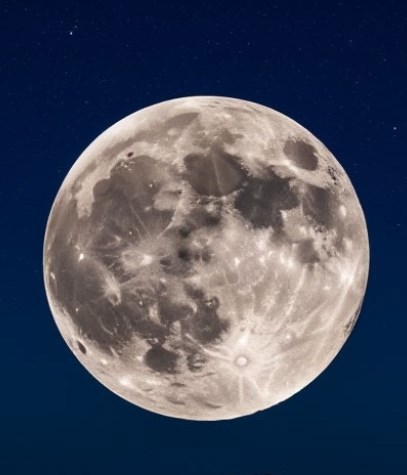 Обложка произведения Тень эльфийского бремени