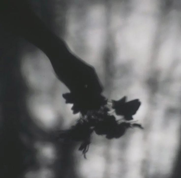 Обложка произведения Внутренняя кома