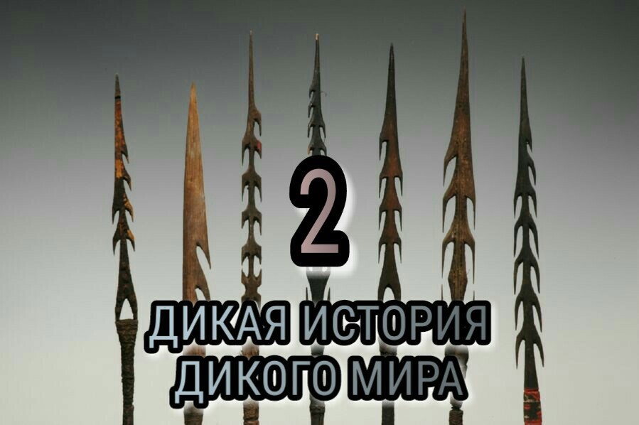 Обложка произведения Дикая история дикого мира-2.