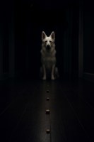 Обложка произведения Ритуал