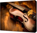 Обложка произведения Скрипач не нужен