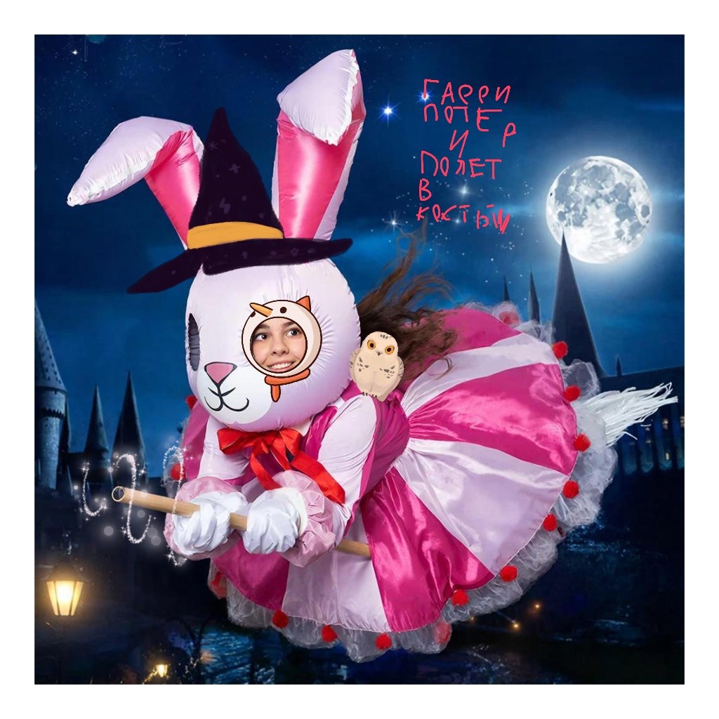 Обложка произведения Гарри Поттер и первый полёт в костюме