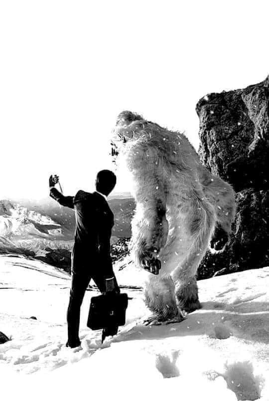 Обложка произведения Последняя охота