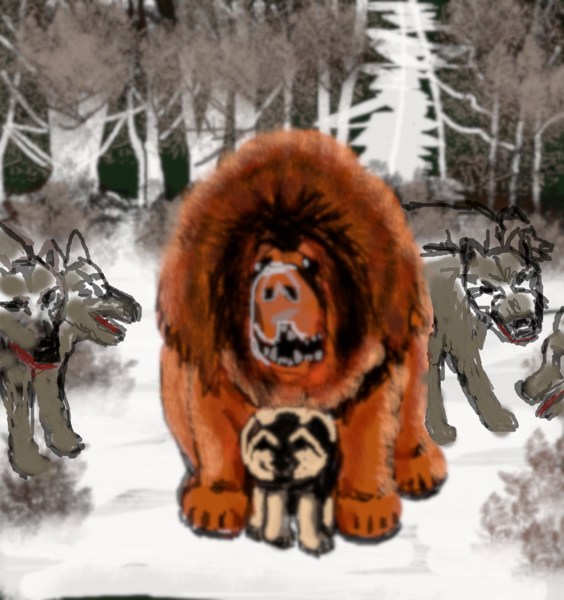 Иллюстрация