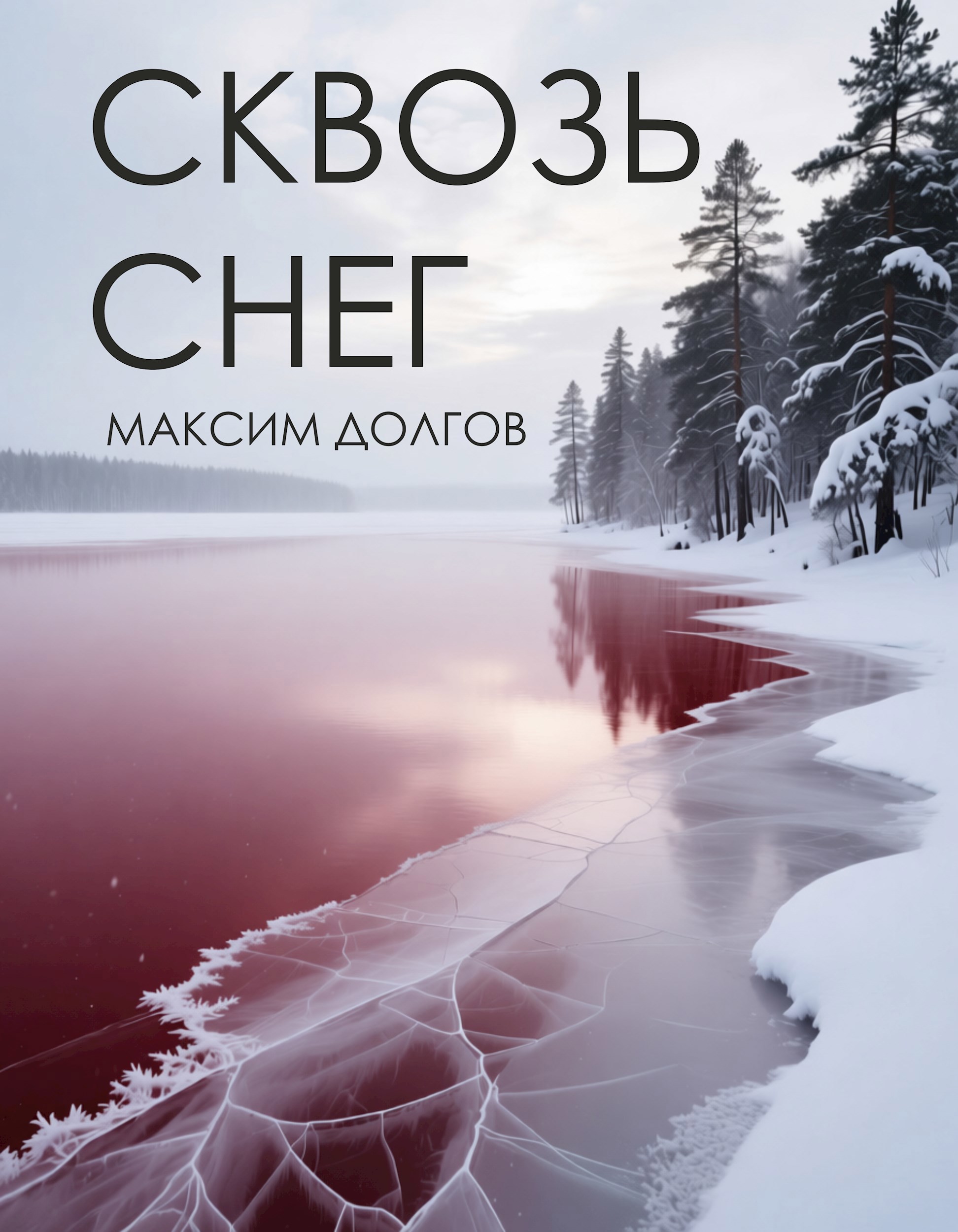 Обложка произведения Сквозь снег