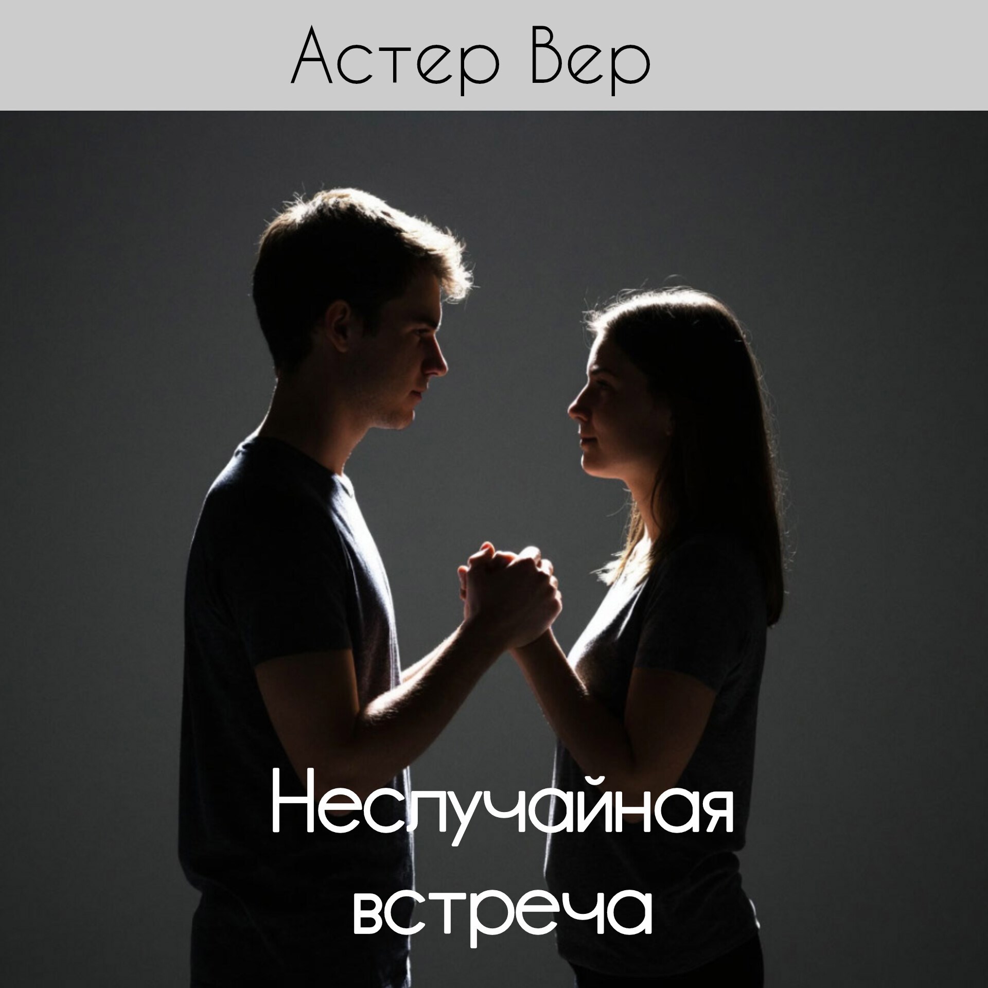 Обложка книги «Неслучайная встреча»