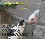 Обложка произведения Рассказ о глупом поросёнке