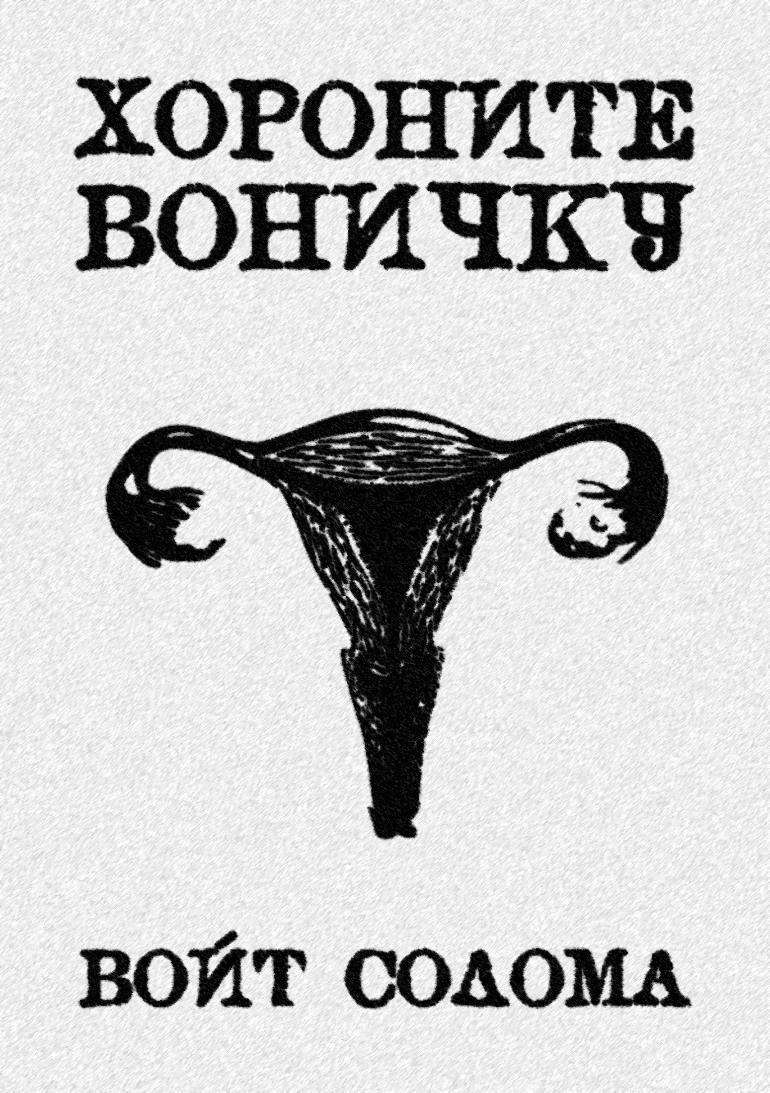 Обложка книги «Хороните Воничку»