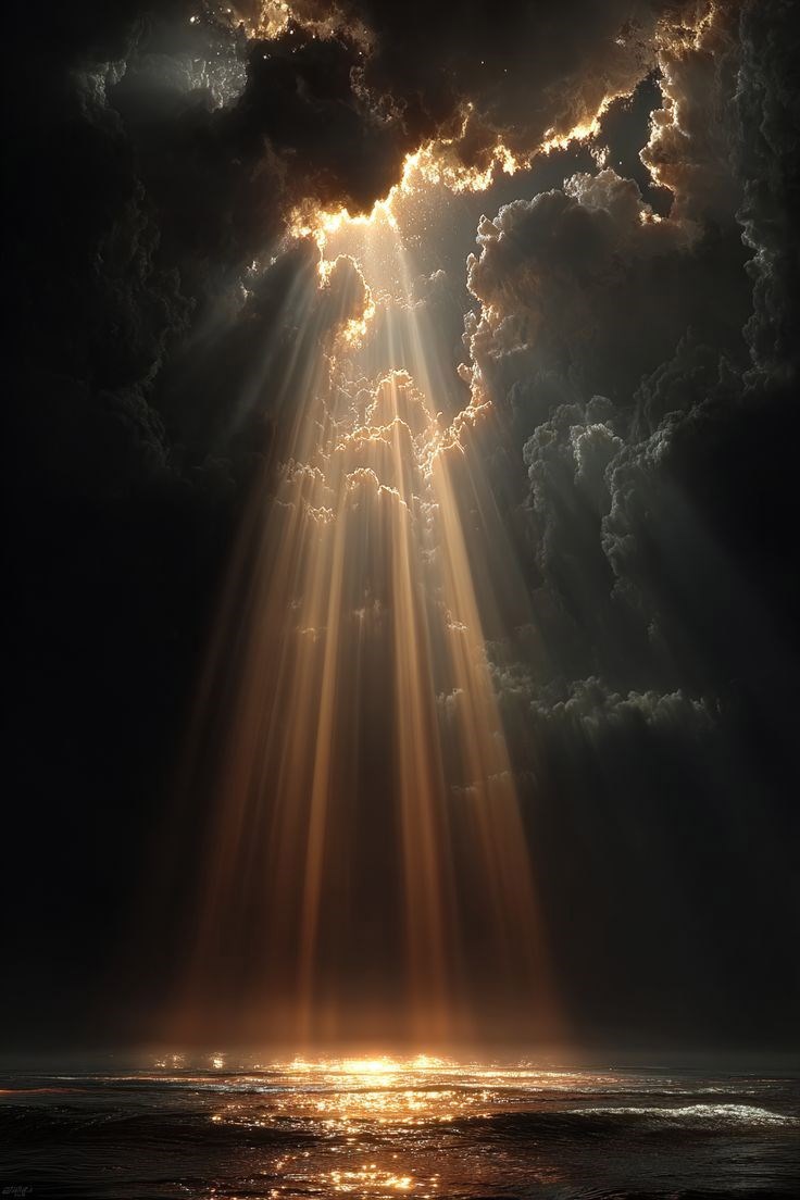 Обложка книги «775»