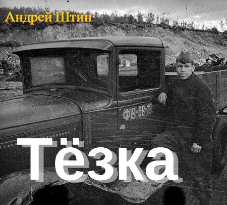 Обложка произведения Тёзка