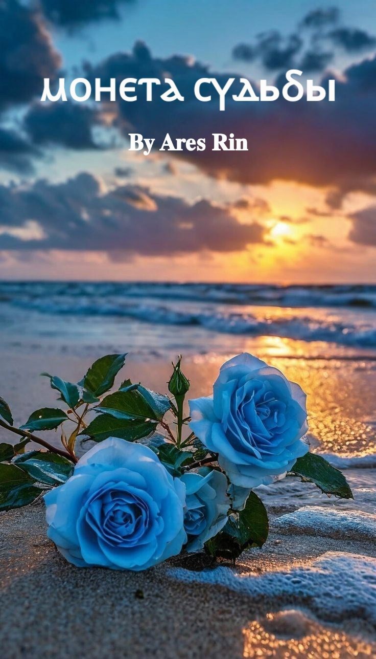 Обложка книги «Монета судьбы»